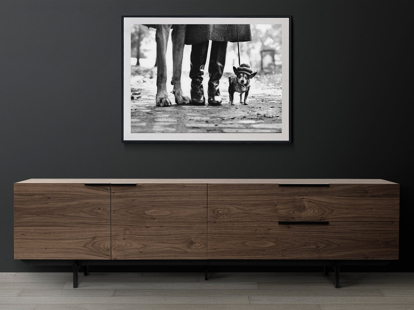 Fine Art Photo by Elliott Erwitt, Dog Legs Print Poster, New York City, USA, 1974