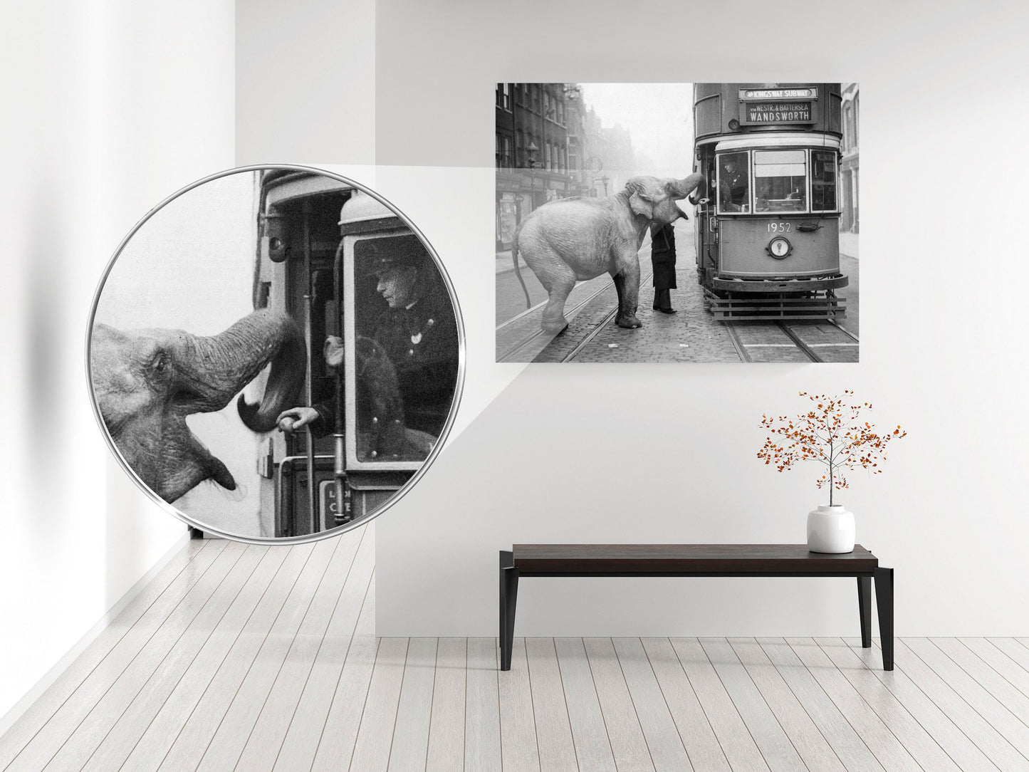 Hungry Elephant Print Poster, An elephant named Mae West accepts an apple from a passing tram driver, London, 1936