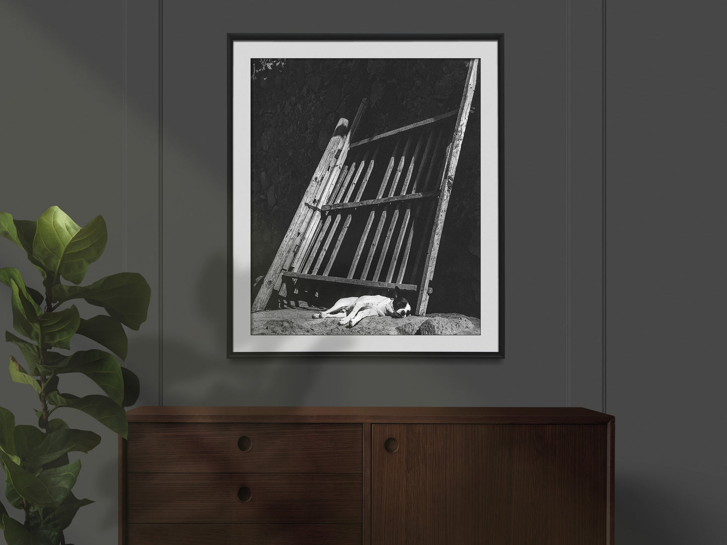 Manuel Álvarez Bravo, Sleeping Dog Print Poster, Gusto Sueno, 1966