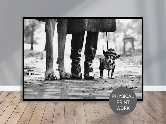 Fine Art Photo by Elliott Erwitt, Dog Legs Print Poster, New York City, USA, 1974