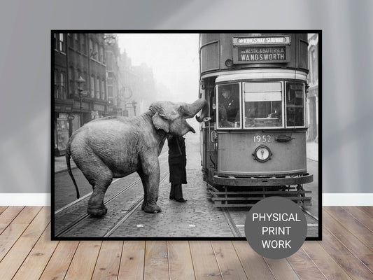 Hungry Elephant Print Poster, An elephant named Mae West accepts an apple from a passing tram driver, London, 1936