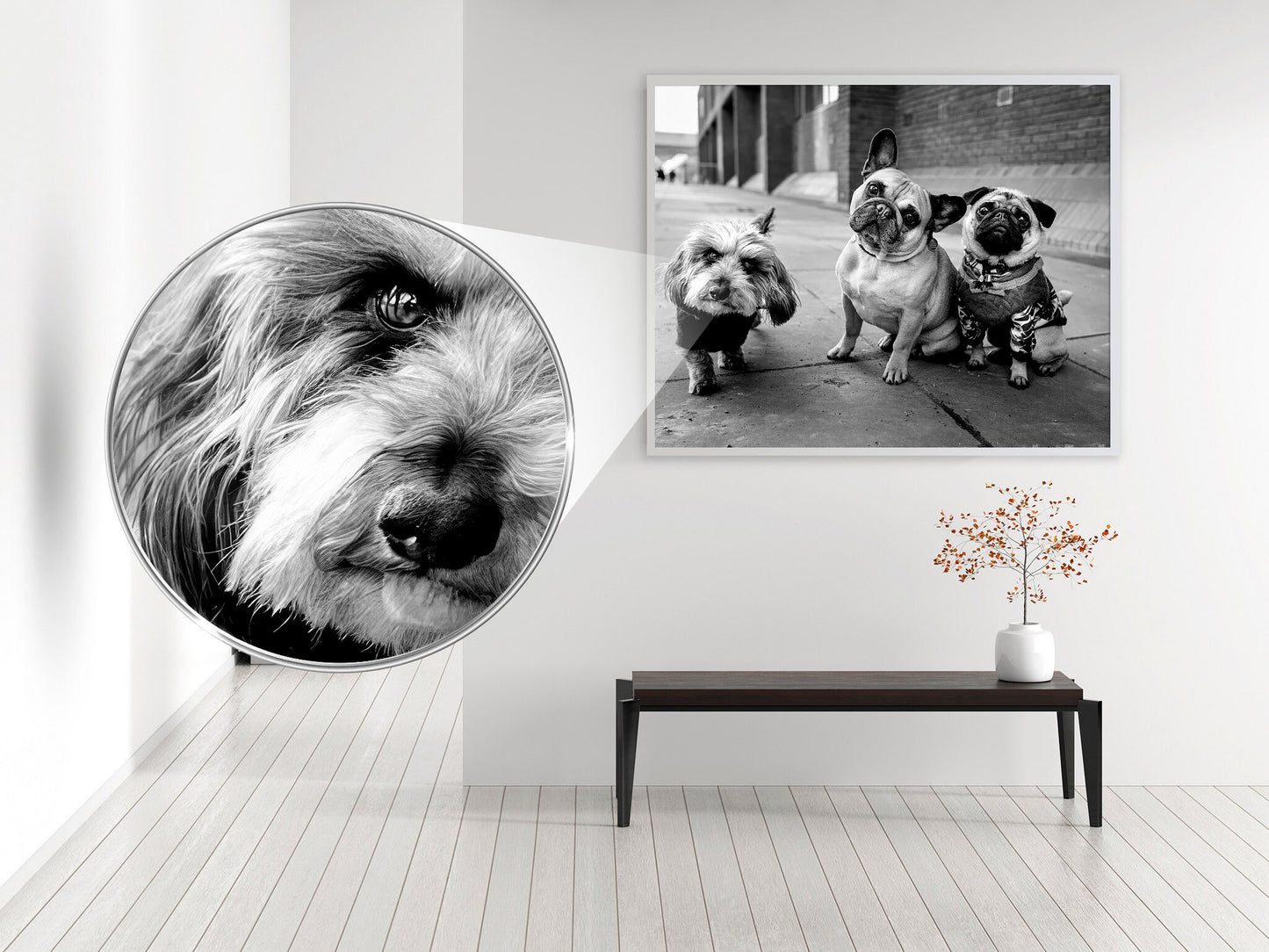 Fine Art Photo, Bad Boys of Manhattan Print Poster, Dogs, New York City
