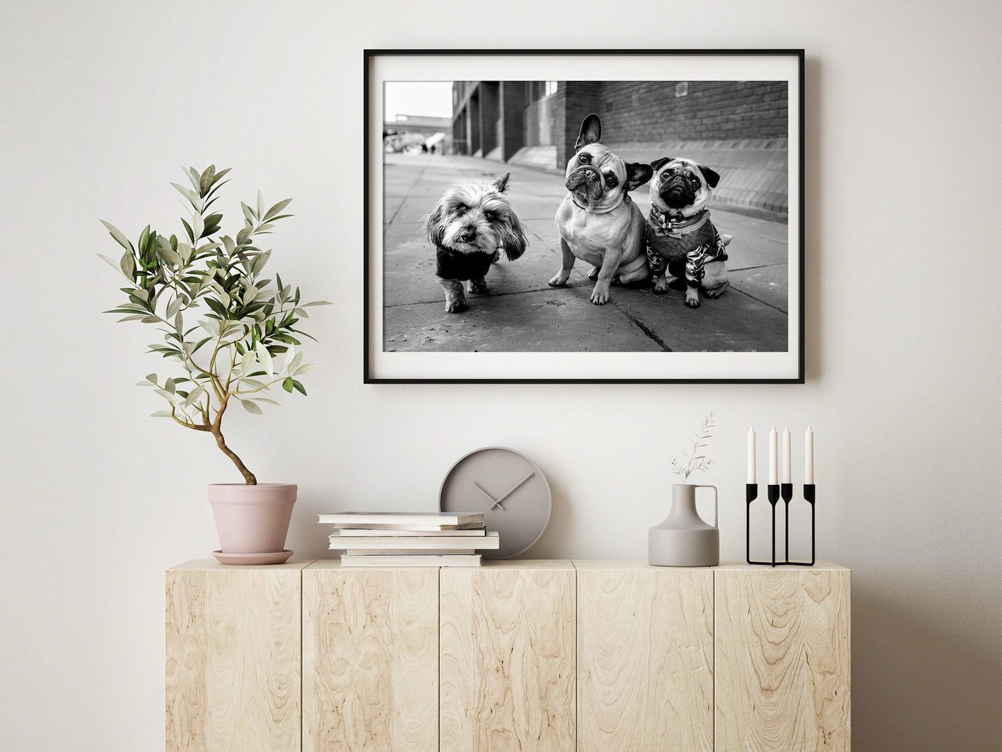Fine Art Photo, Bad Boys of Manhattan Print Poster, Dogs, New York City