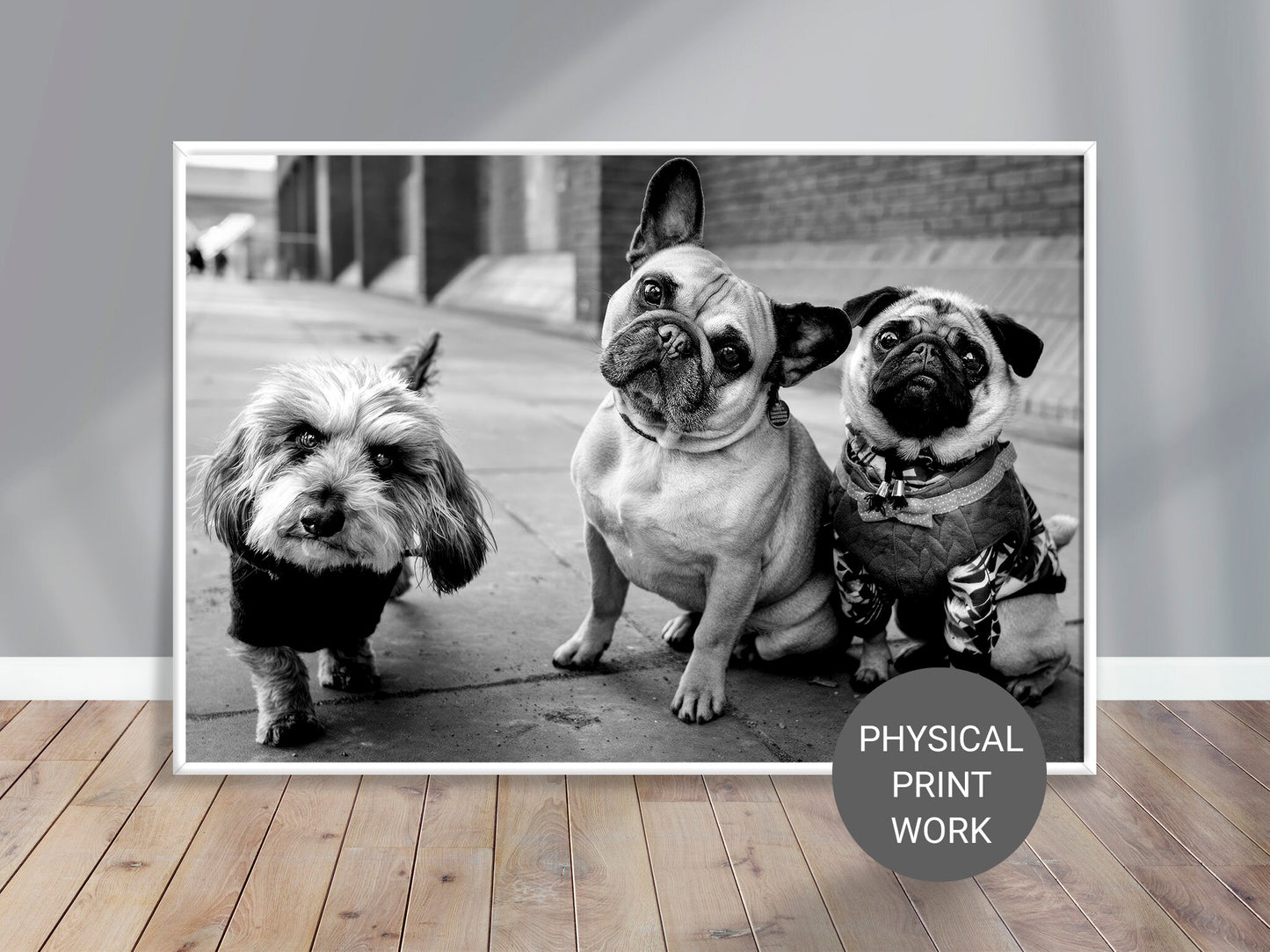 Fine Art Photo, Bad Boys of Manhattan Print Poster, Dogs, New York City