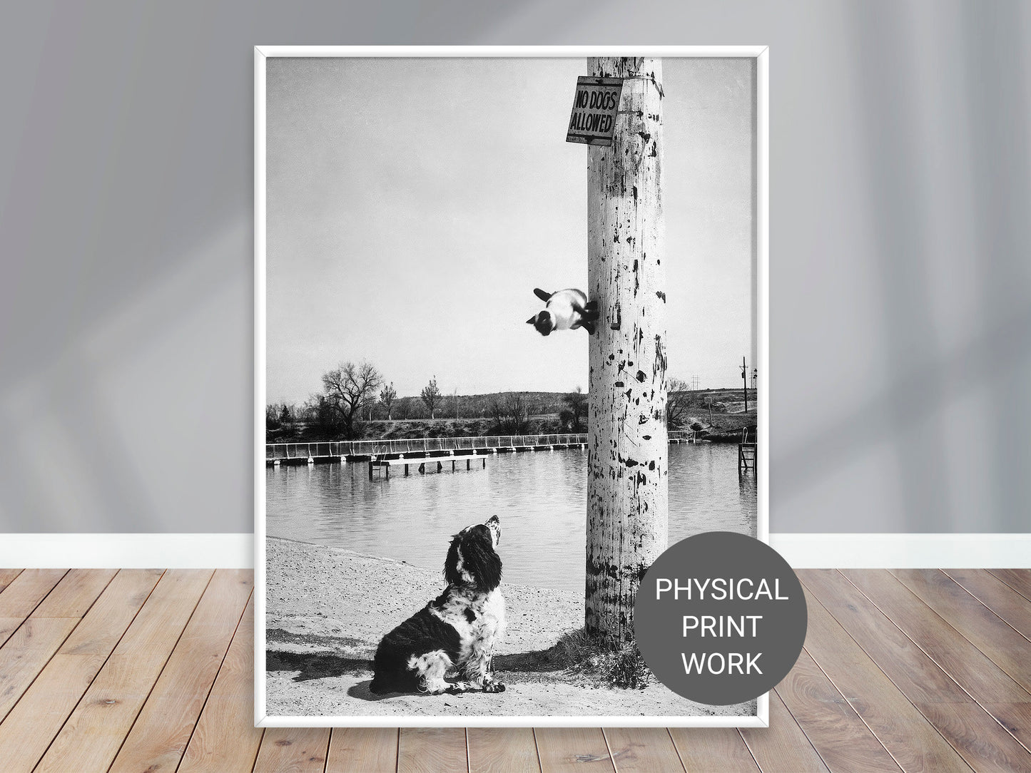 This Siamese cat escaped up a pole in Carlsbad, Elliott Erwitt Print Poster, N. M., 1962